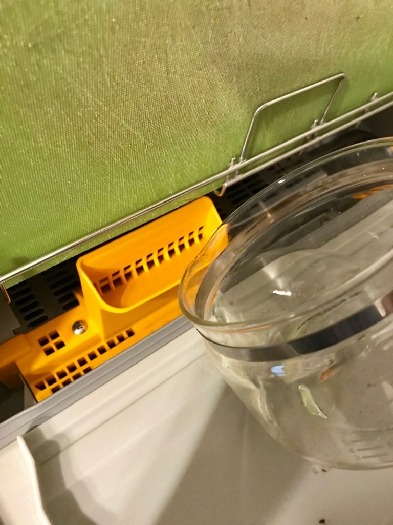 食洗機に入れる洗剤を間違えたら水で薄める
